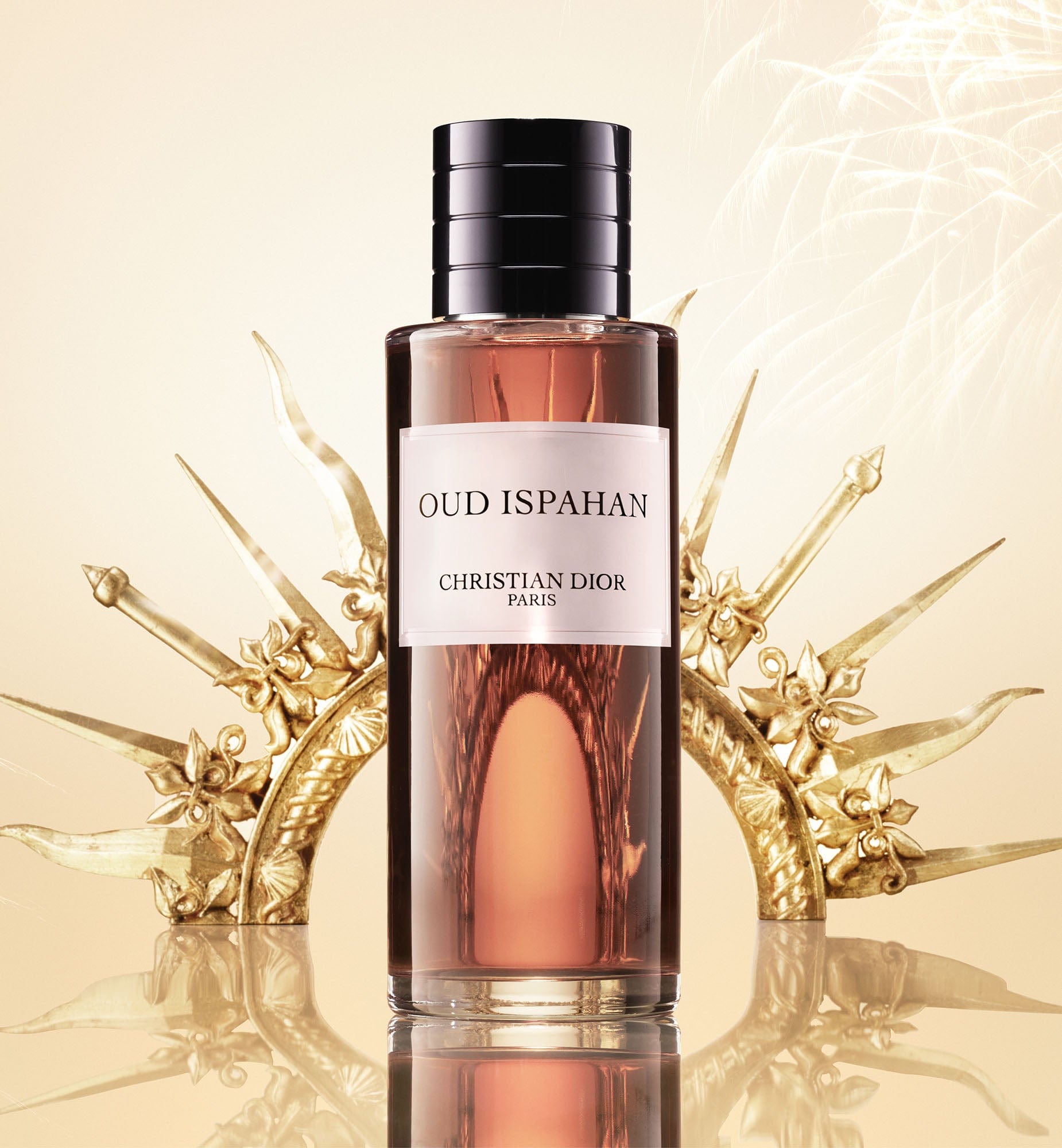 DIOR Oud Ispahan Floral Signature Amber Fragrance DIOR SA